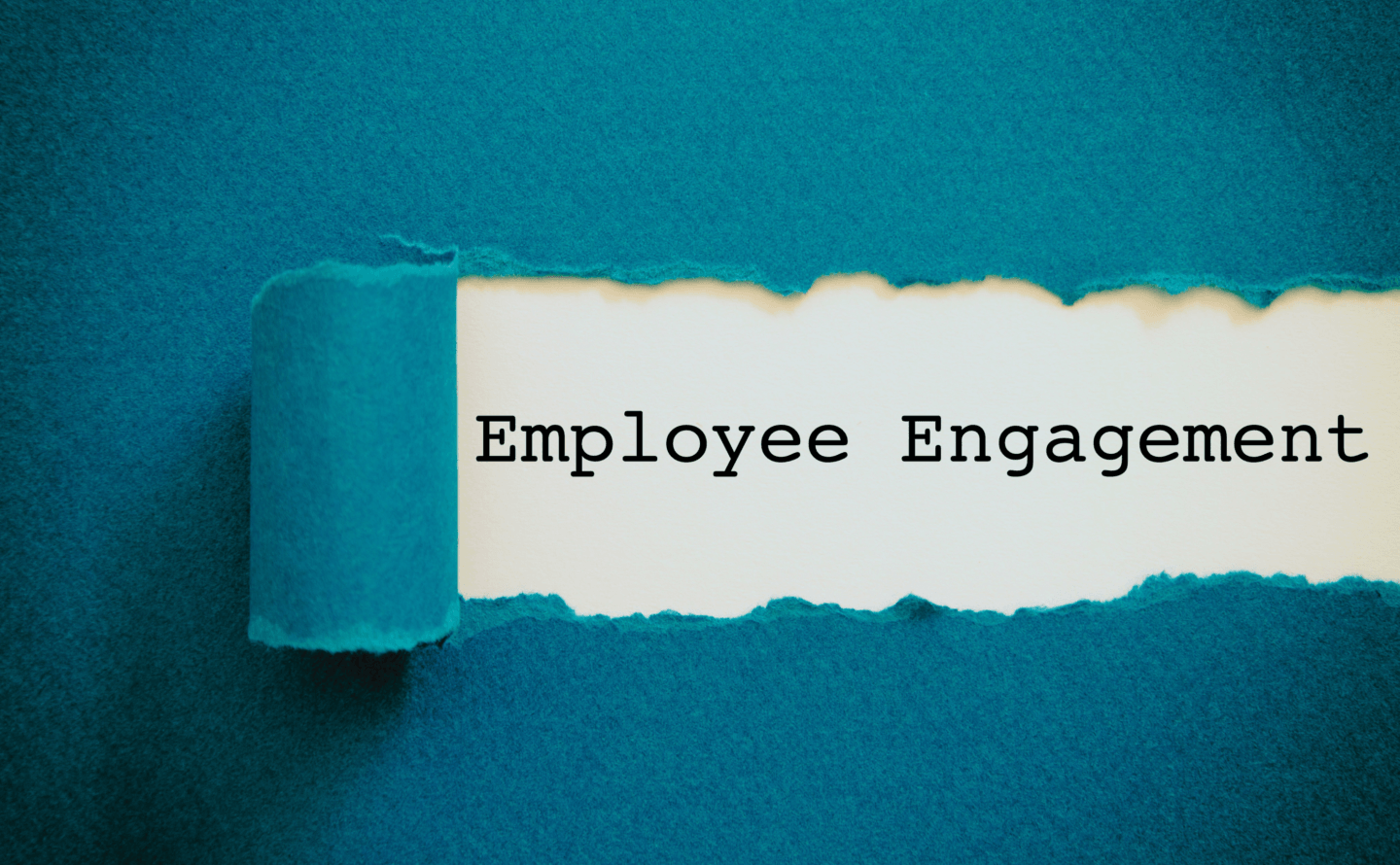 employee engagement 5